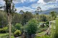 Property photo of 55 Pine Road Canungra QLD 4275