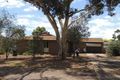 Property photo of 22 Narvik Crescent Hackham West SA 5163