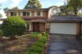 Property photo of 236 Warrimoo Avenue St Ives Chase NSW 2075