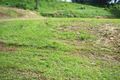 Property photo of 8 Bel-Air Drive Whitfield QLD 4870
