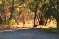 Property photo of 612 Pages Flat Road Pages Flat SA 5172