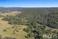 Property photo of 115 Upper Cherry Tree Road Upper Mongogarie NSW 2470