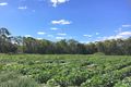 Property photo of 3502 Bundaberg Gin Gin Road Bullyard QLD 4671