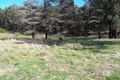 Property photo of 12 Parkland Road Kinglake VIC 3763