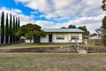 Property photo of 62 Ramsay Terrace Bordertown SA 5268