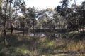Property photo of 159 Unold Lane Dalcouth QLD 4380