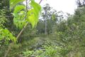 Property photo of 209 Cootharaba Downs Road Cootharaba QLD 4565