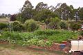 Property photo of 296 Ringarooma Road Ringarooma TAS 7263