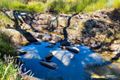 Property photo of 1356 Triamble Road Hargraves NSW 2850