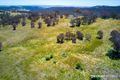 Property photo of 1356 Triamble Road Hargraves NSW 2850