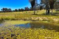 Property photo of 1356 Triamble Road Hargraves NSW 2850