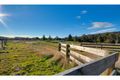 Property photo of 16 Lakeside Drive Acacia Hills TAS 7306