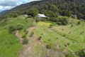 Property photo of 125 Boxsell Road Tyalgum Creek NSW 2484