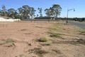 Property photo of 67 Manna Gum Drive Epsom VIC 3551