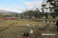 Property photo of 28 Mapley Road Lachlan TAS 7140