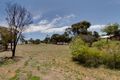 Property photo of 14 Anne Street Mannum SA 5238
