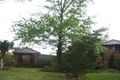 Property photo of 19 Kooemba Road Beverly Hills NSW 2209