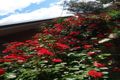 Property photo of 2 Forbes Street Murrabit VIC 3579