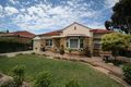 Property photo of 11 Netherby Avenue Plympton SA 5038