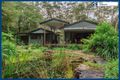 Property photo of 2905 Springbrook Road Springbrook QLD 4213