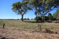 Property photo of 8 Short Street Mintaro SA 5415