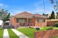 Property photo of 49 Munro Street Sefton NSW 2162