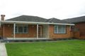 Property photo of 31 Kirbister Street Pascoe Vale VIC 3044