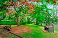 Property photo of 6 Shirley Street Redbank Plains QLD 4301