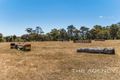 Property photo of 19 O'Brien Road Gidgegannup WA 6083