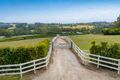 Property photo of 100 Roberts Road Main Ridge VIC 3928