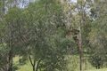 Property photo of 37 Banksia Drive Mount Crosby QLD 4306