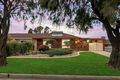 Property photo of 20 The Parade Holden Hill SA 5088