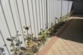 Property photo of 22A Randwick Bend Harrisdale WA 6112