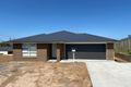 Property photo of 21 Royce Crescent Lavington NSW 2641
