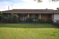 Property photo of 33 Virgil Avenue Yokine WA 6060