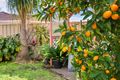 Property photo of 44 Lantana Lane Glen Iris WA 6230