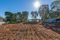 Property photo of 257 Lyons Road Dernancourt SA 5075
