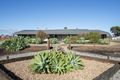 Property photo of 212 Railway Terrace Coonamia SA 5540