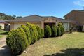 Property photo of 10 Alexander Parade Blacktown NSW 2148