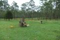 Property photo of 100 Myrtle Forest Road Myrtle Creek NSW 2469