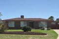 Property photo of 25 Chapman Crescent Redwood Park SA 5097