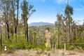 Property photo of 438 Cobargo Bermagui Road Coolagolite NSW 2550