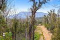 Property photo of 438 Cobargo Bermagui Road Coolagolite NSW 2550