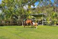 Property photo of 228 Clagiraba Road Mount Nathan QLD 4211