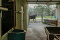 Property photo of 5 Vernon Avenue Mundaring WA 6073