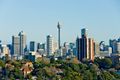 Property photo of 2/143 Old South Head Road Bondi Junction NSW 2022