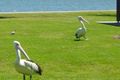 Property photo of 3/100 Broken Bay Road Ettalong Beach NSW 2257