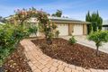 Property photo of 11 Meander Avenue Renmark SA 5341