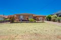 Property photo of 207 Steere Street North Collie WA 6225