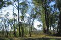Property photo of 252 Putty Road Wilberforce NSW 2756